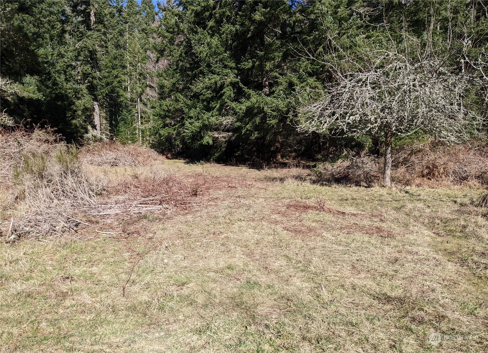 0 Andreason Road Property Photo