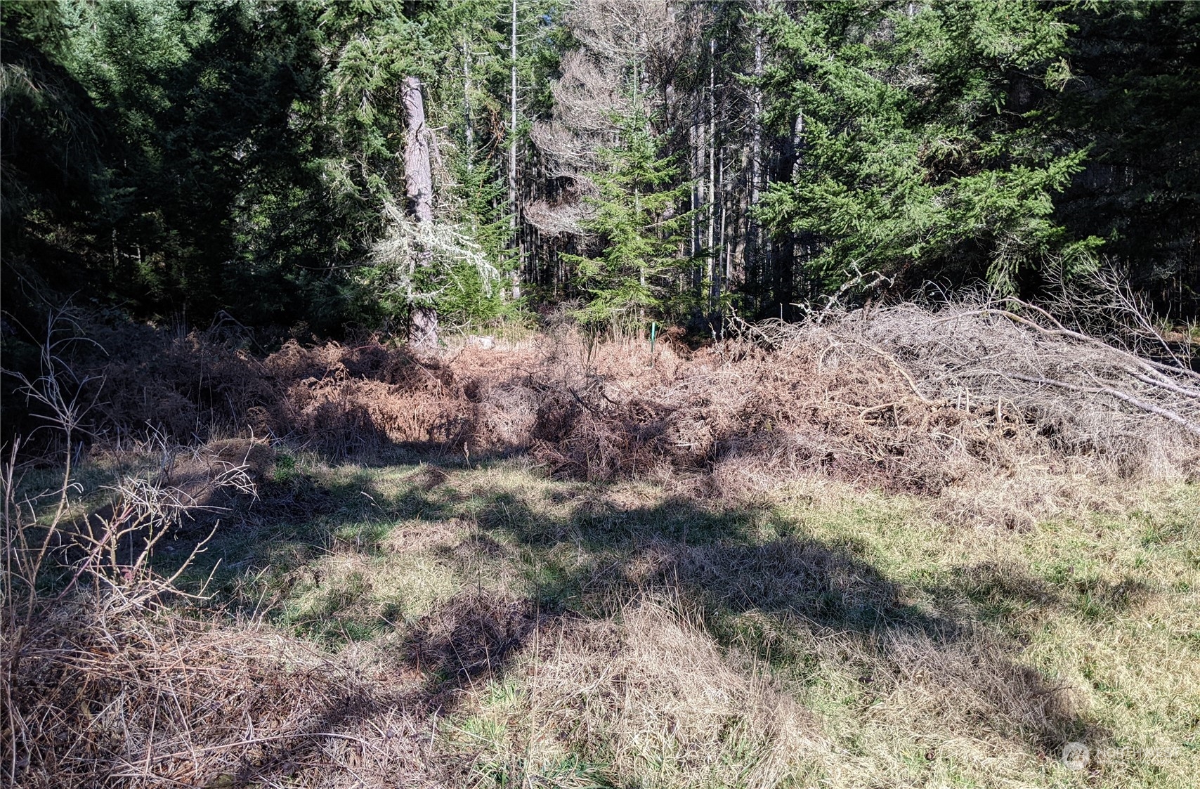 0 Andreason Road Property Photo 3