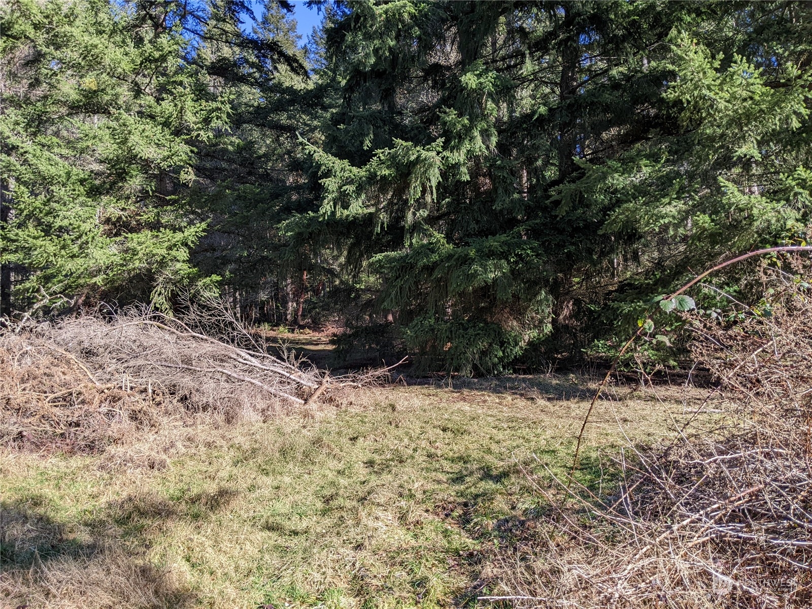 0 Andreason Road Property Photo 4