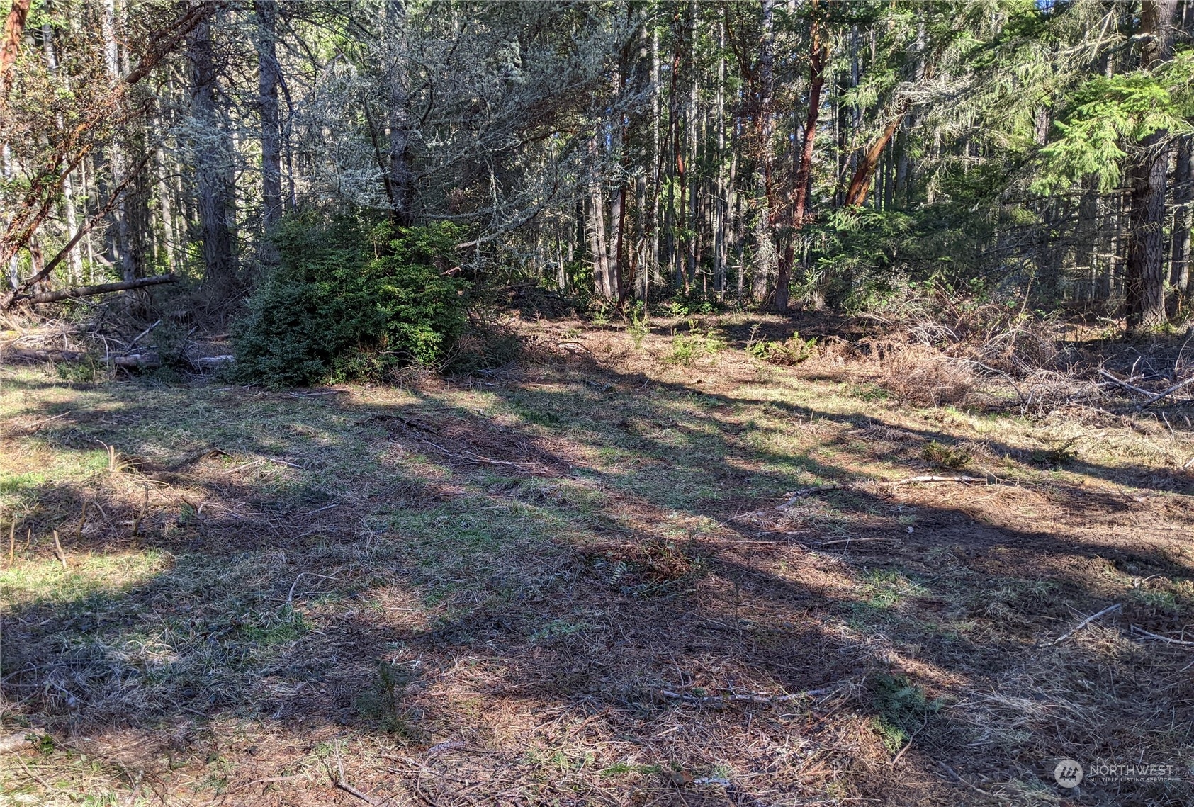 0 Andreason Road Property Photo 6