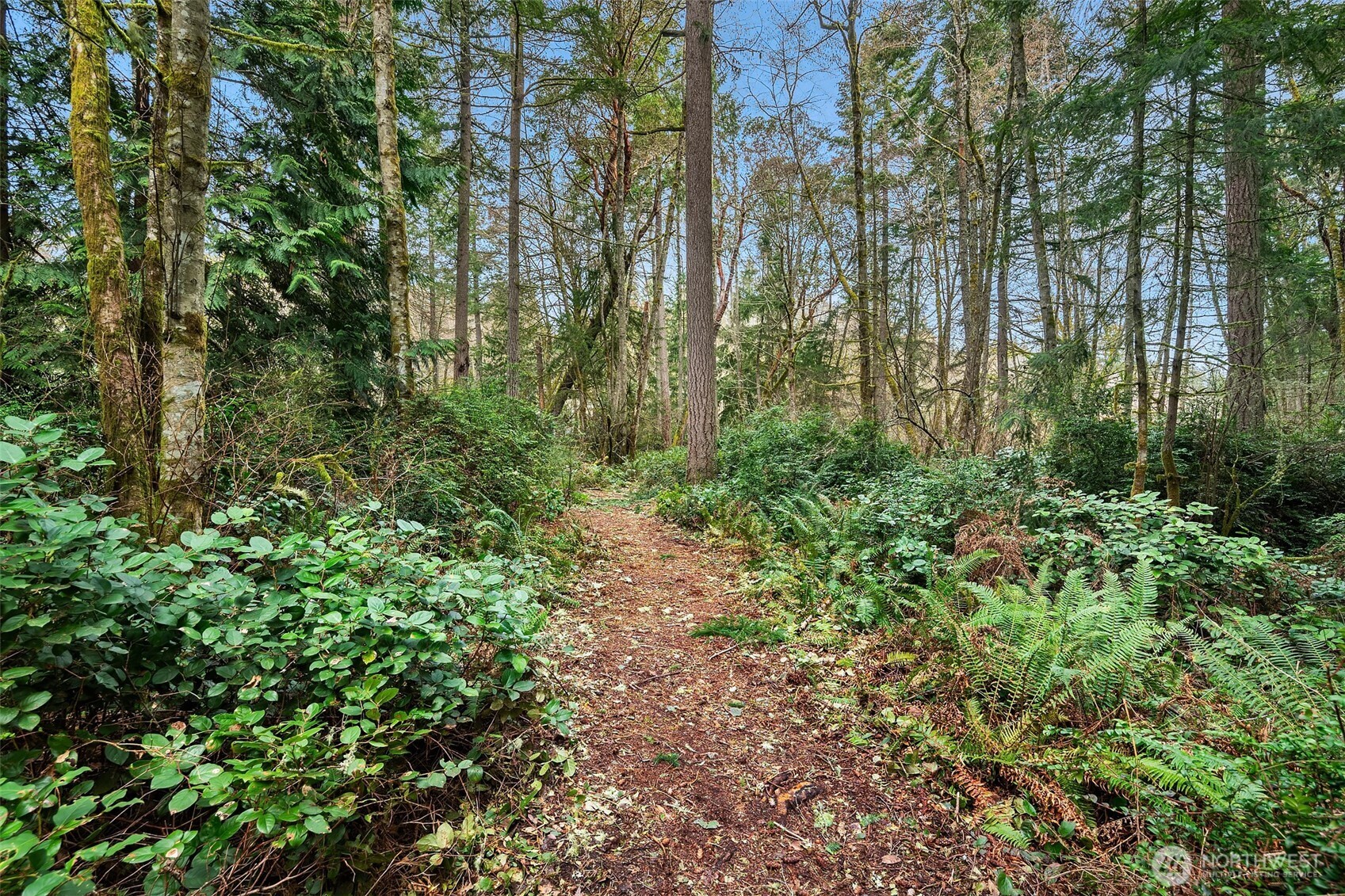 122 Sw 250th Way Property Photo 6