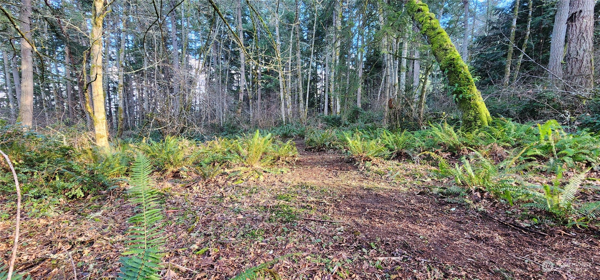 122 Sw 250th Way Property Photo 8