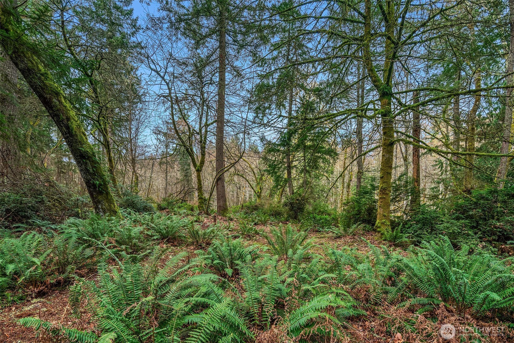 122 Sw 250th Way Property Photo 11