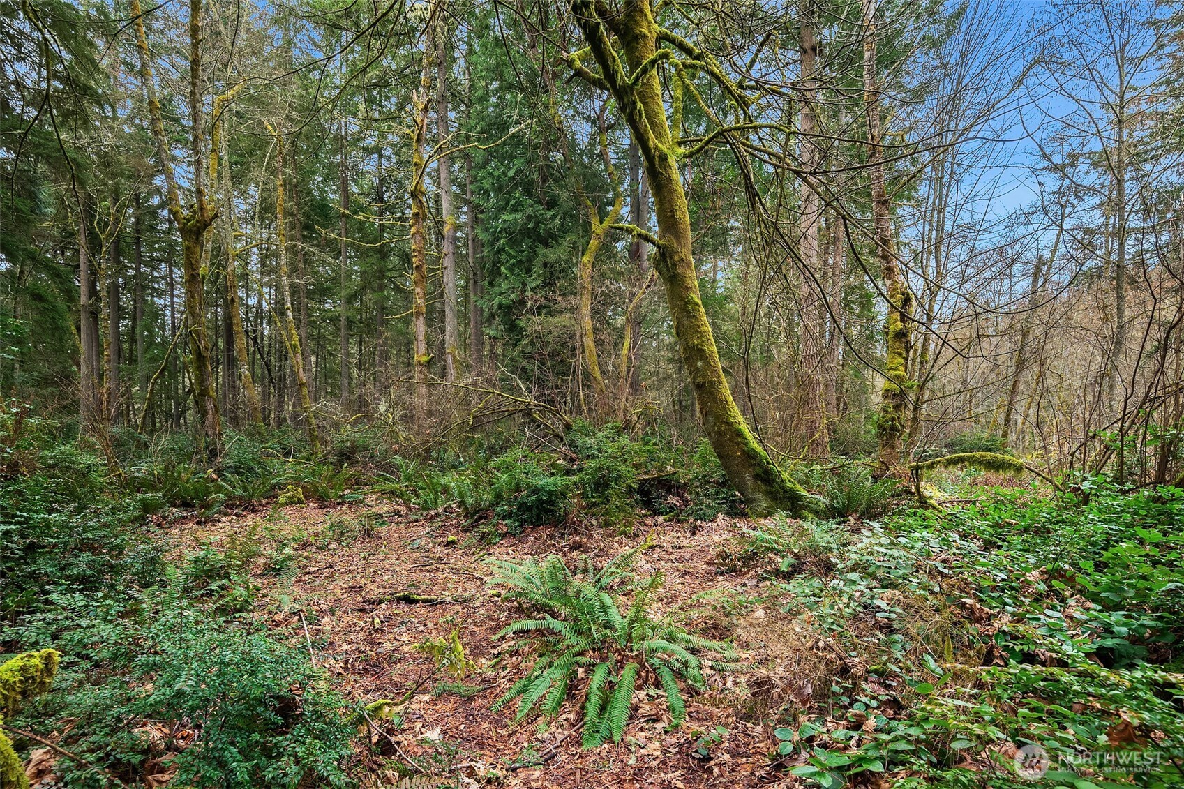 122 Sw 250th Way Property Photo 13