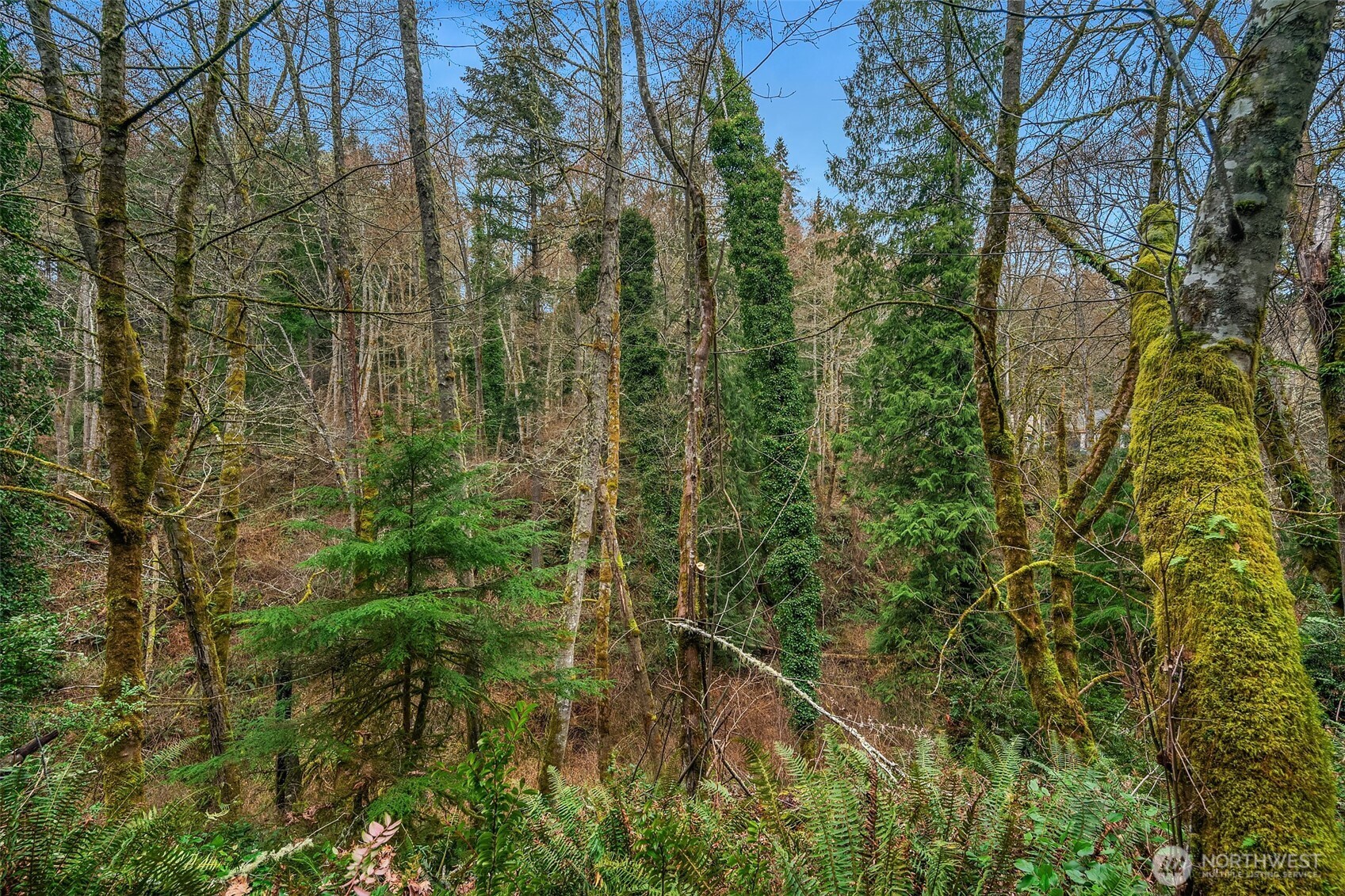 122 Sw 250th Way Property Photo 14