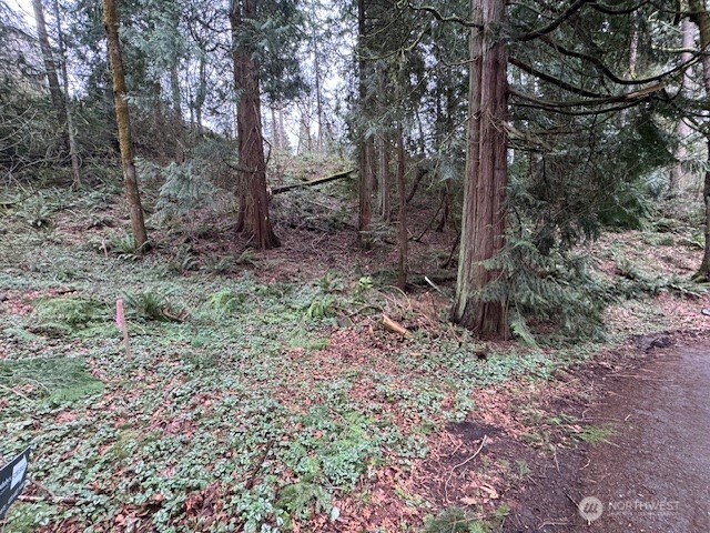 0 207th Place Property Photo 6