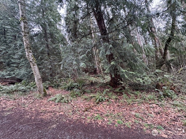 0 207th Place Property Photo 7