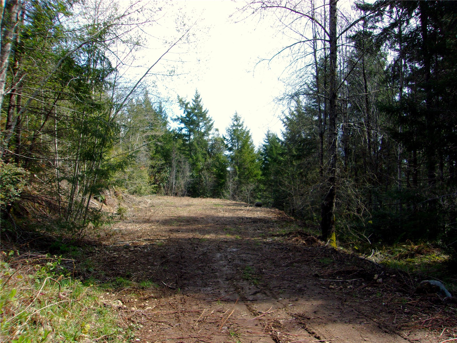 0 Madrona Ridge Drive Property Photo