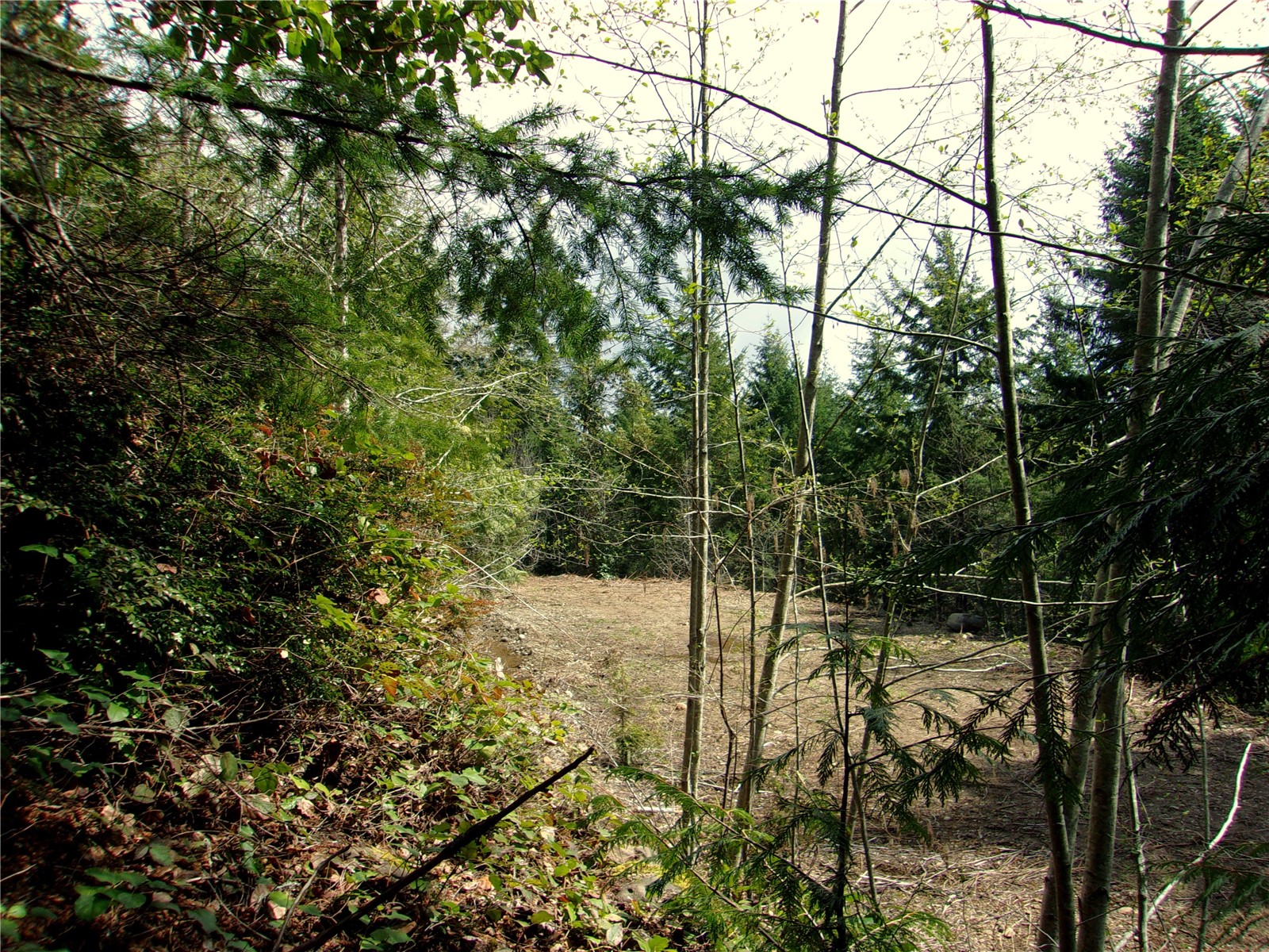 0 Madrona Ridge Drive Property Photo 3