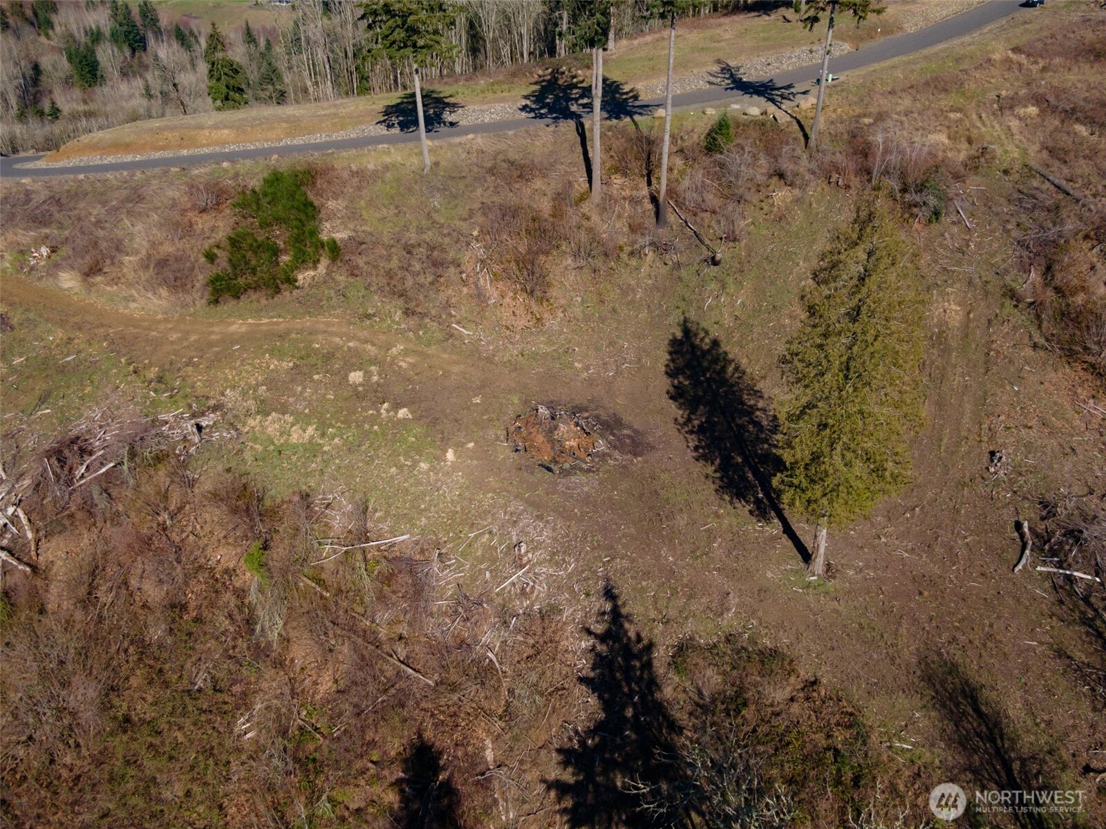 0 Olivia Lane Property Photo 17
