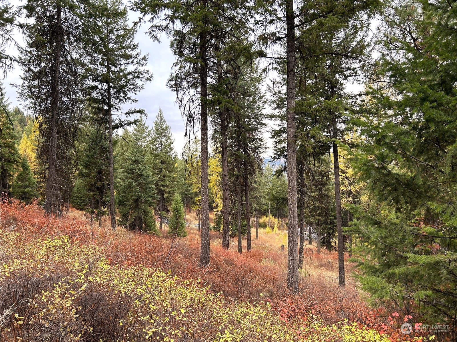 0 Tbd Old Kettle Falls Road Property Photo