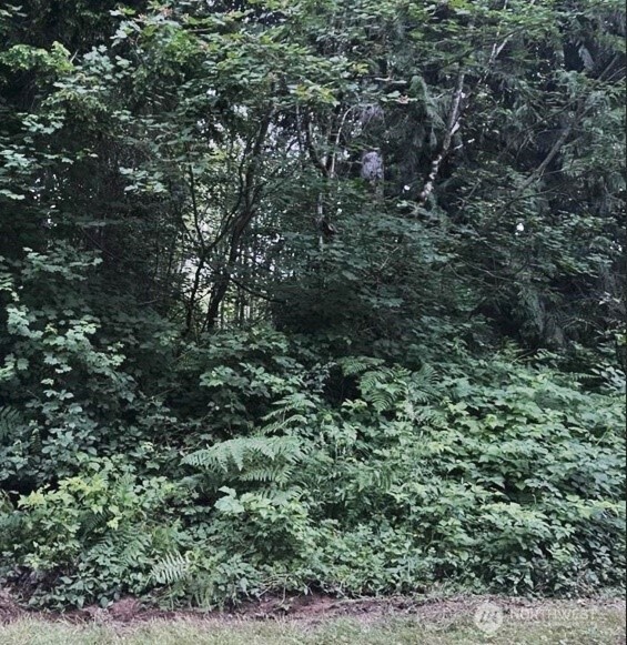 7410 19th Avenue Property Photo