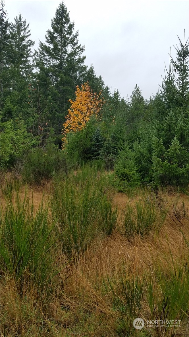 1140 1180 W California Road Property Photo 1