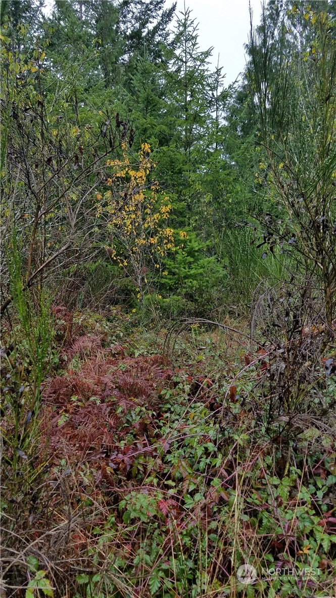 1140 1180 W California Road Property Photo 2