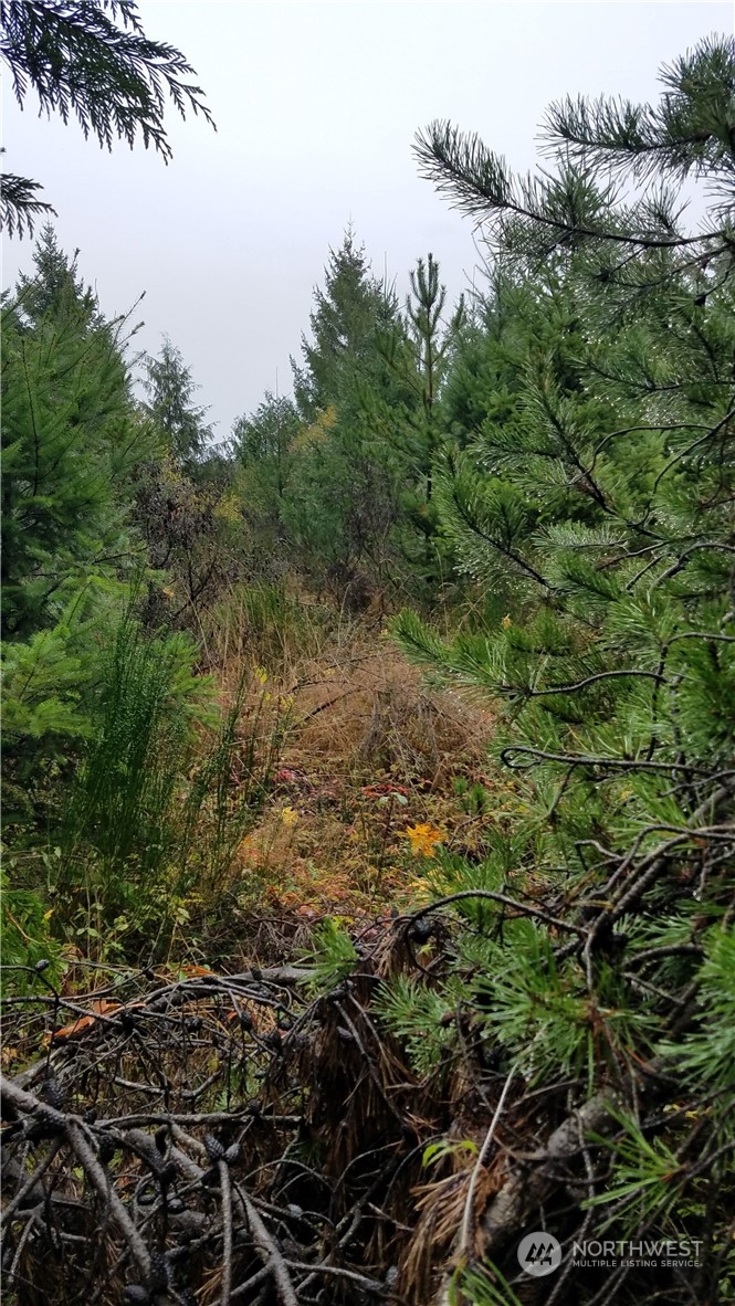 1140 1180 W California Road Property Photo 3