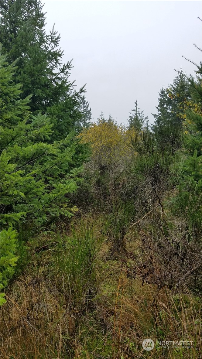 1140 1180 W California Road Property Photo 4