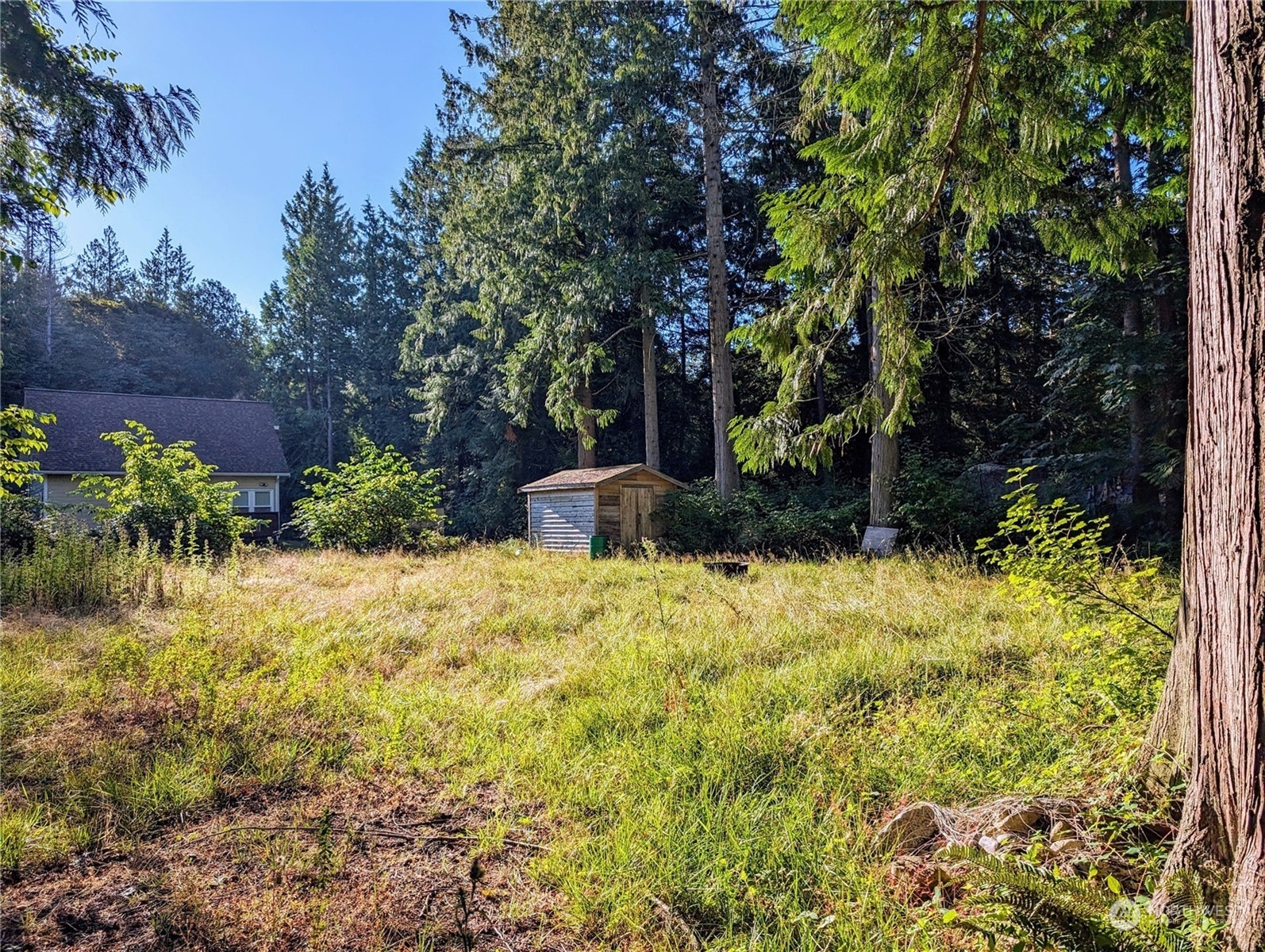 168 Tyee Drive Property Photo 7