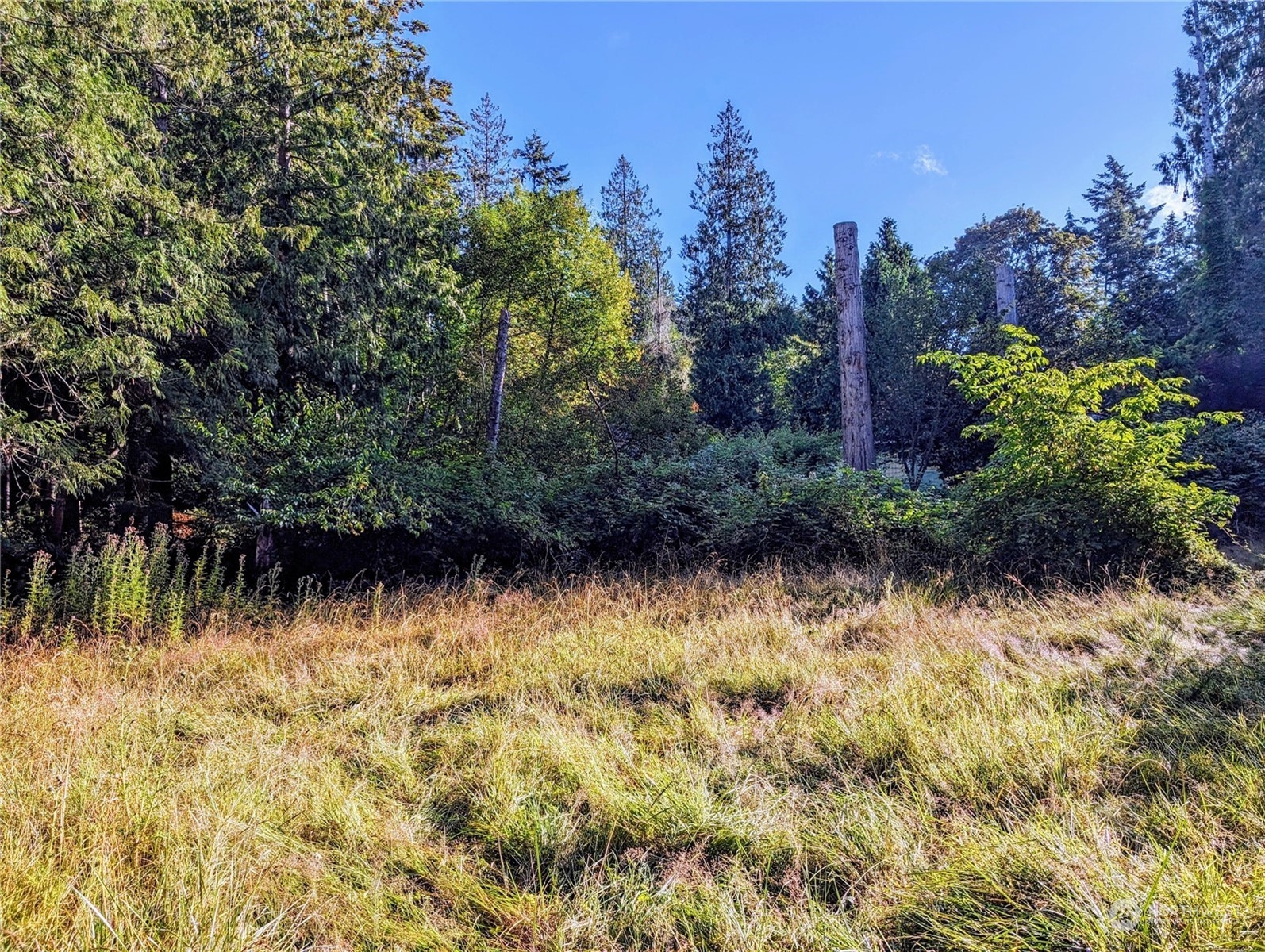 168 Tyee Drive Property Photo 10
