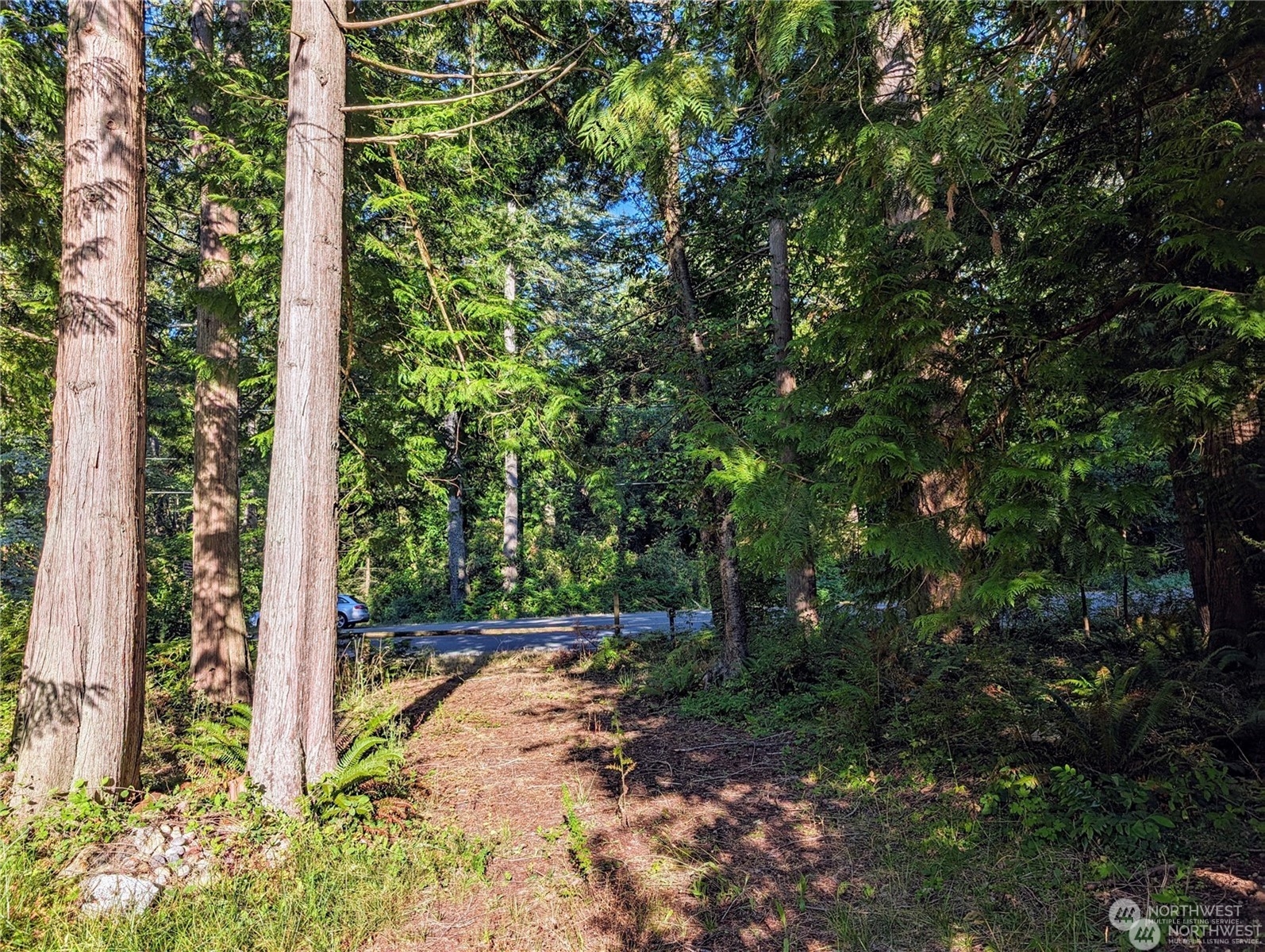 168 Tyee Drive Property Photo 15