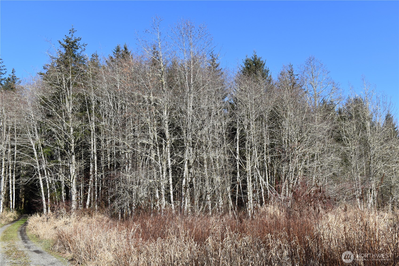 0 105.33 Lincoln Creek Road Property Photo 22