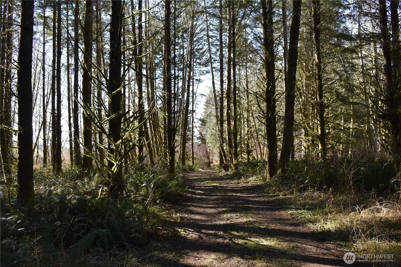 0 105.33 Lincoln Creek Road Property Photo 23