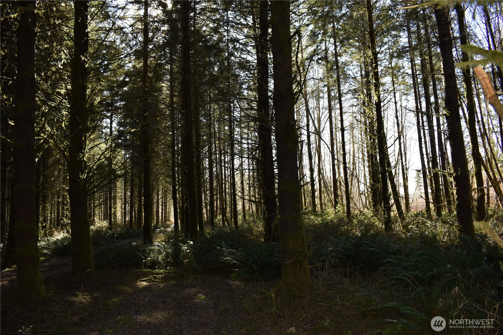 0 105.33 Lincoln Creek Road Property Photo 24