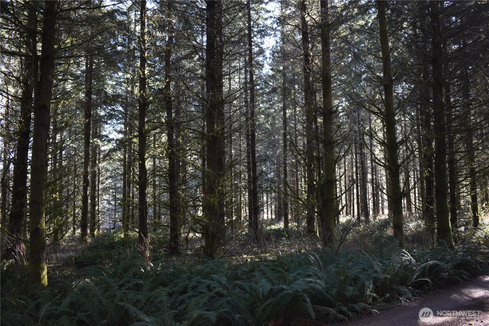 0 105.33 Lincoln Creek Road Property Photo 25