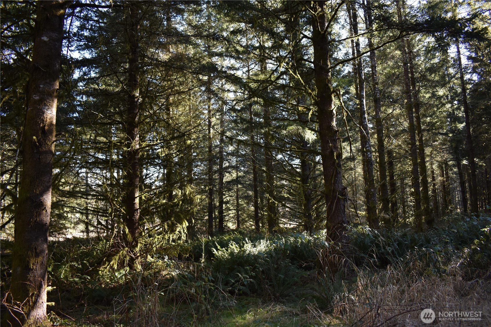 0 105.33 Lincoln Creek Road Property Photo 27
