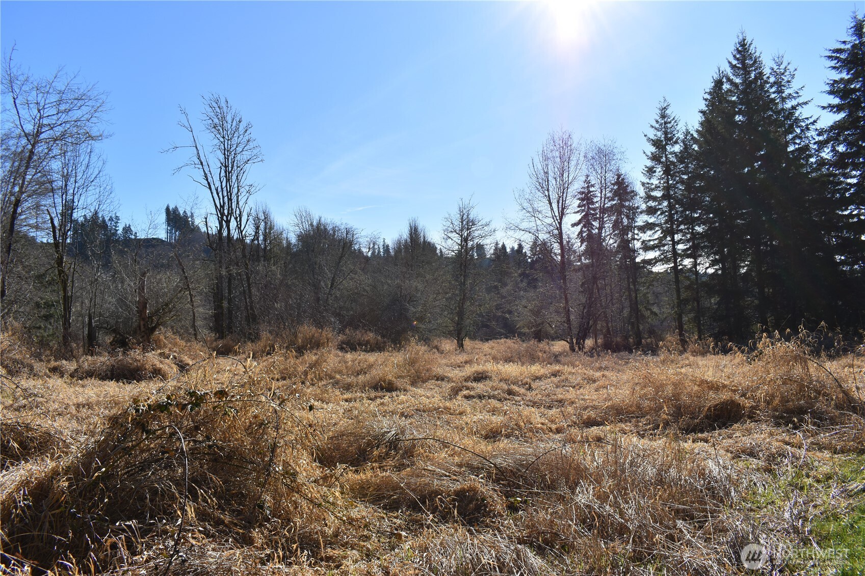 0 105.33 Lincoln Creek Road Property Photo 29