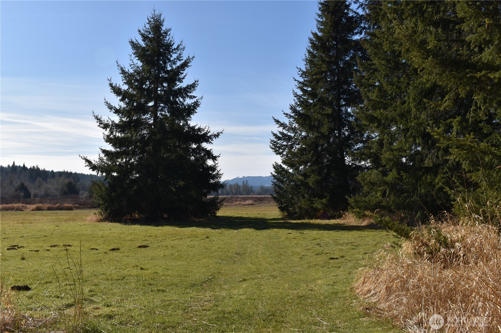 0 105.33 Lincoln Creek Road Property Photo 30