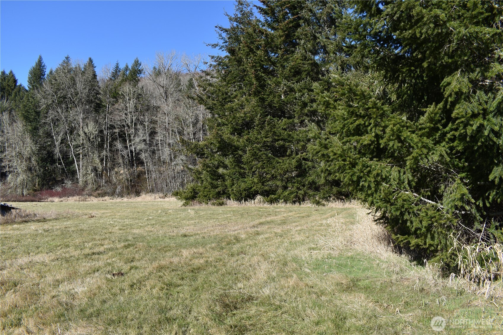 0 105.33 Lincoln Creek Road Property Photo 32