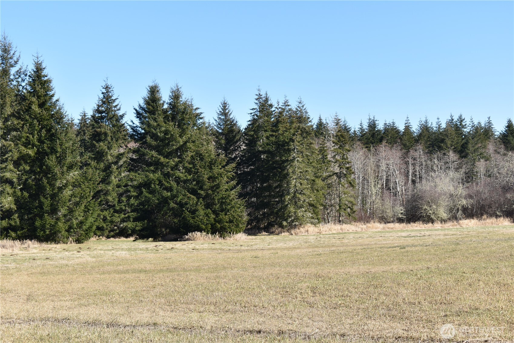 0 105.33 Lincoln Creek Road Property Photo 34