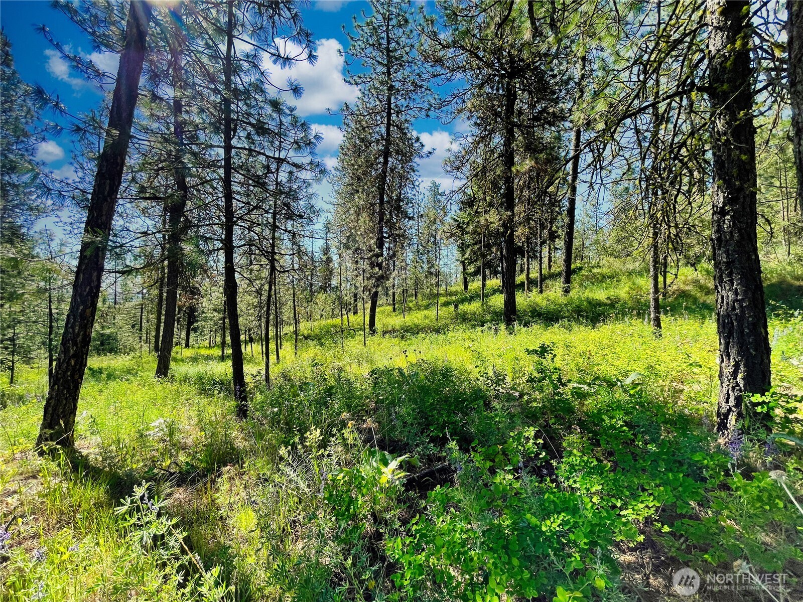 39300 Porcupine Bay Road Property Photo
