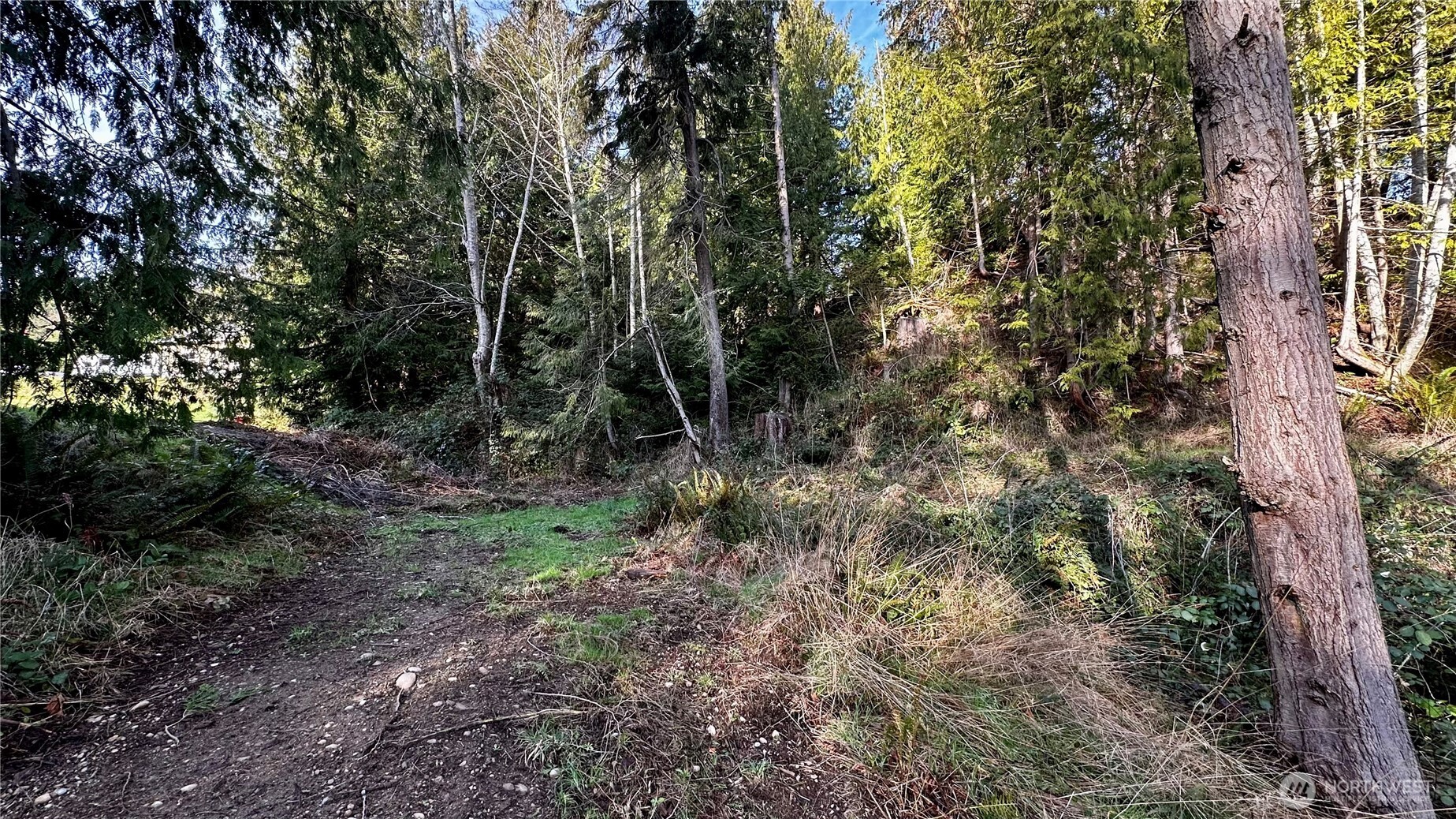 9999 Holland Drive Property Photo 5