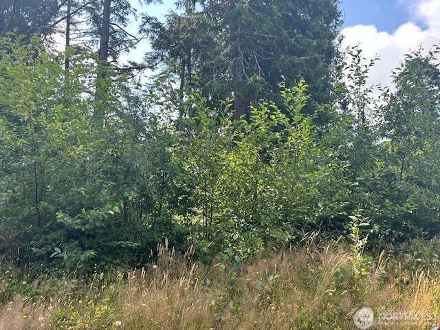 0 Lot 4 Sunrise Lane Property Photo 6