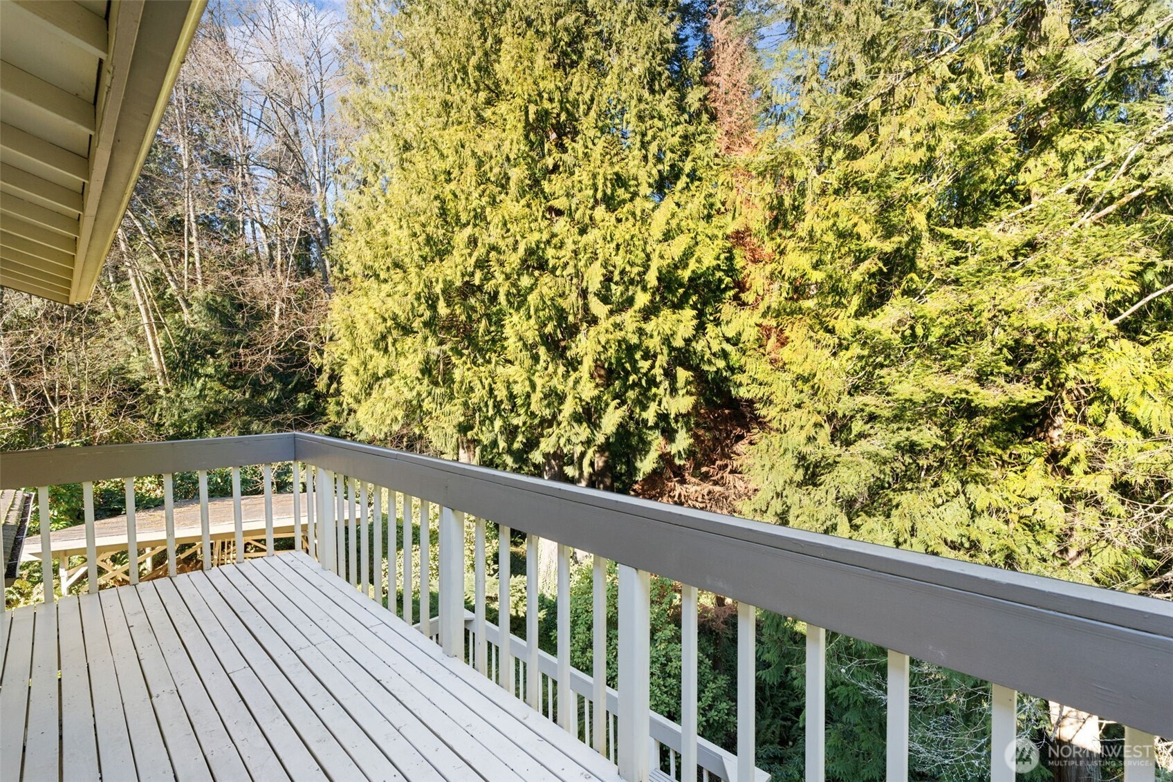 3646 Cedar Brook Drive Property Photo 14
