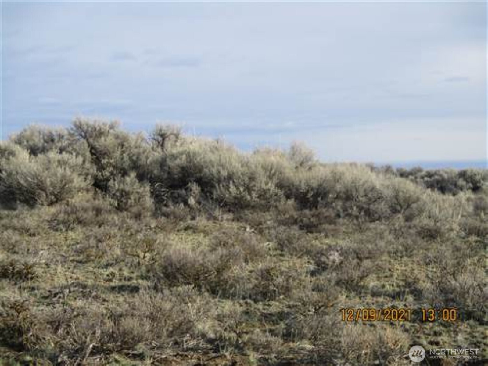 0 Lot 10 Pheasant Drive Property Photo 1