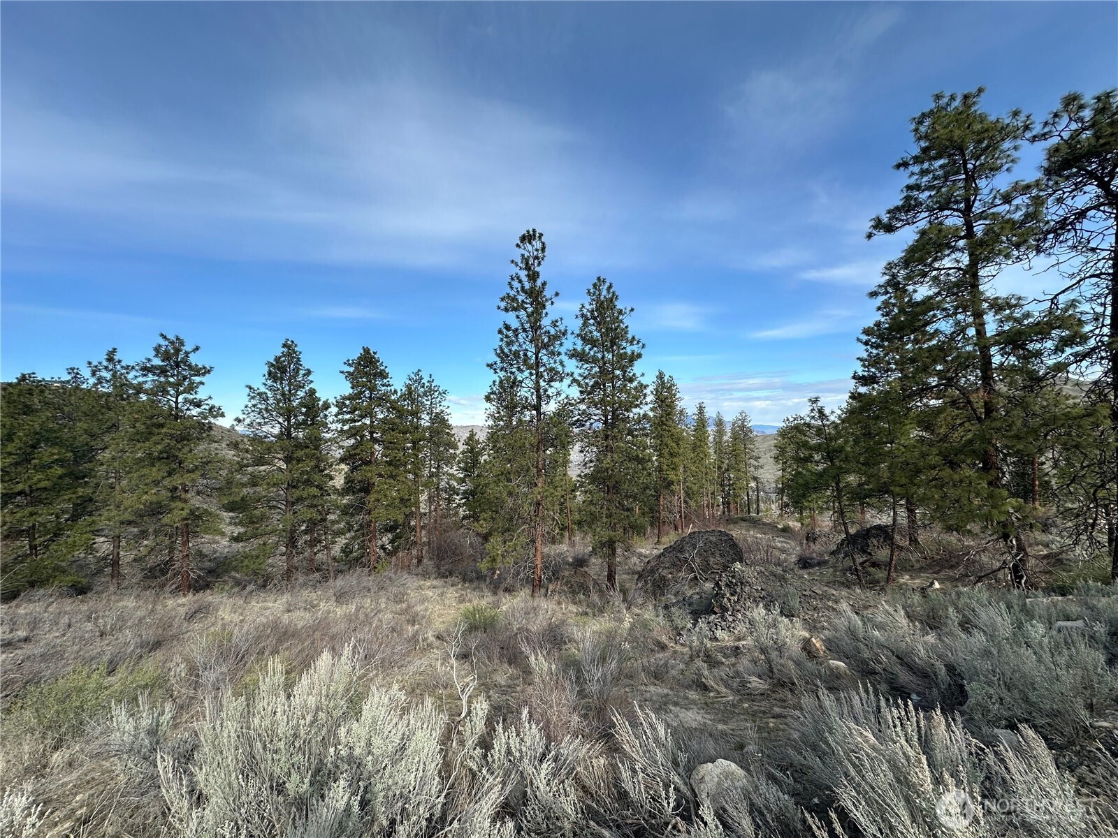 0 Mountain Spring Road Property Photo 1