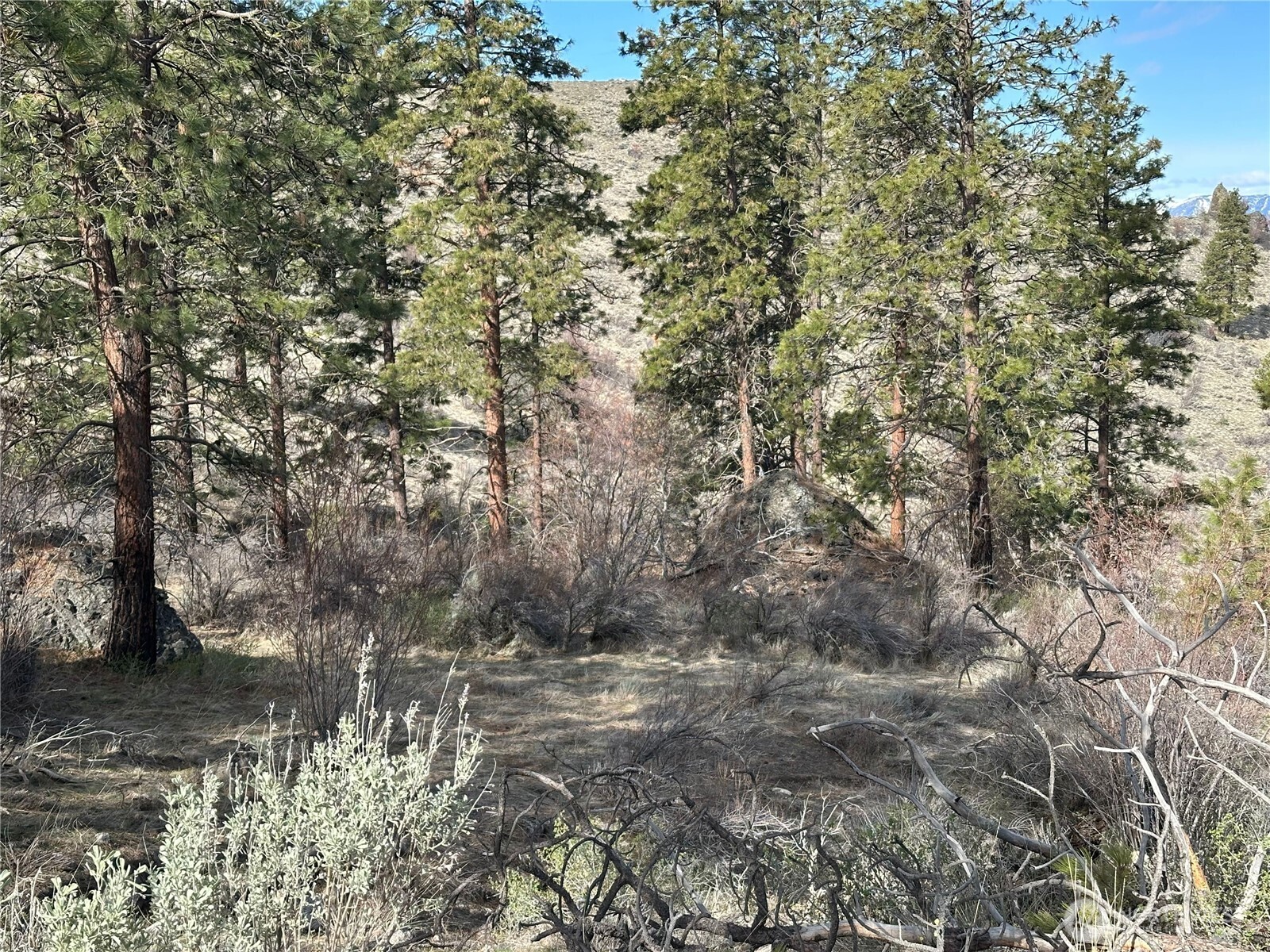 0 Mountain Spring Road Property Photo 10