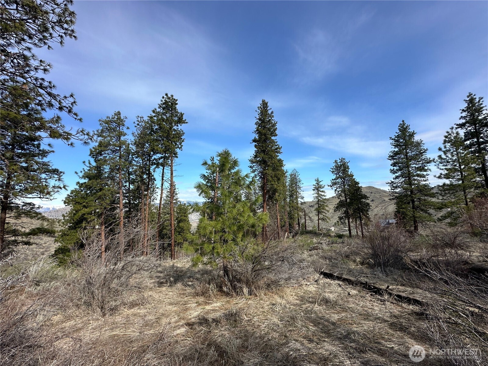 0 Mountain Spring Road Property Photo 11