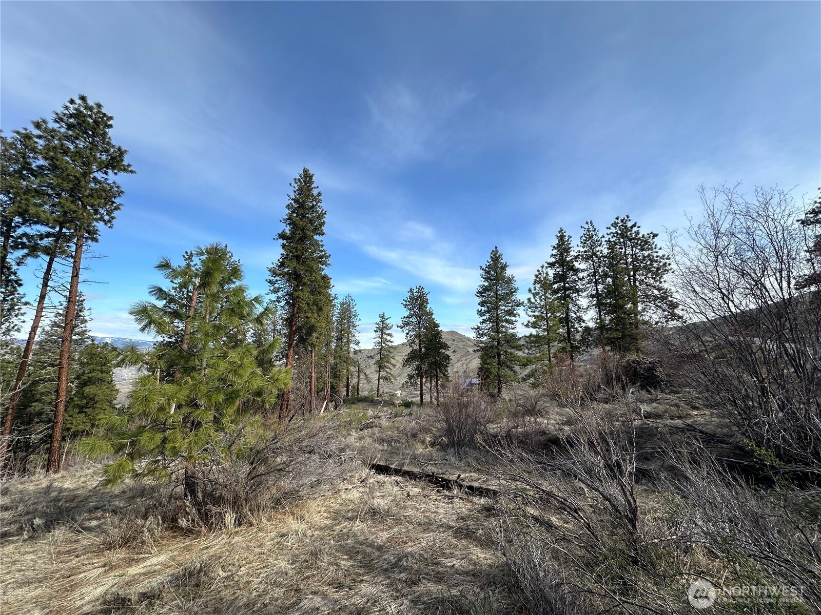 0 Mountain Spring Road Property Photo 13