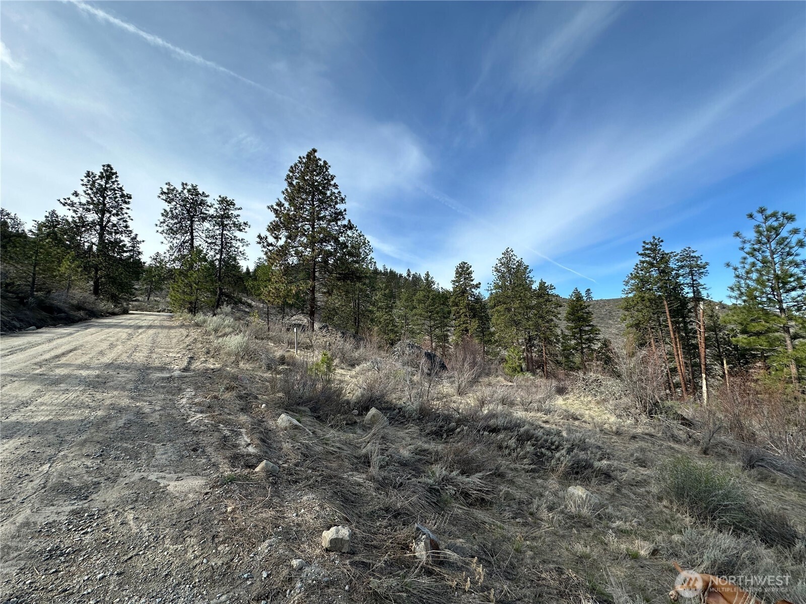0 Mountain Spring Road Property Photo 15