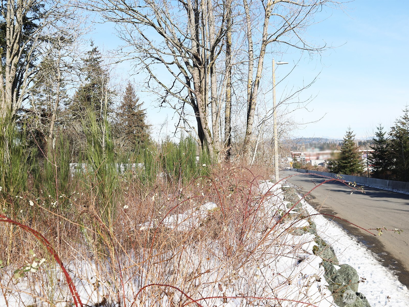 157408 12th Street Property Photo 5