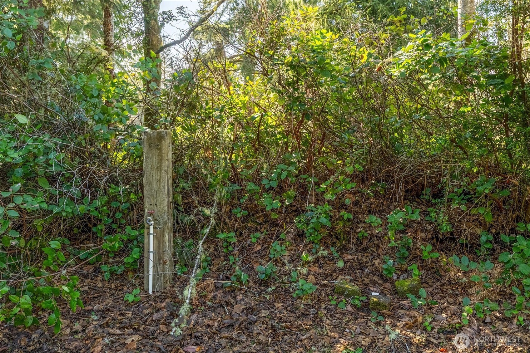 21329 Birch Place Property Photo 4