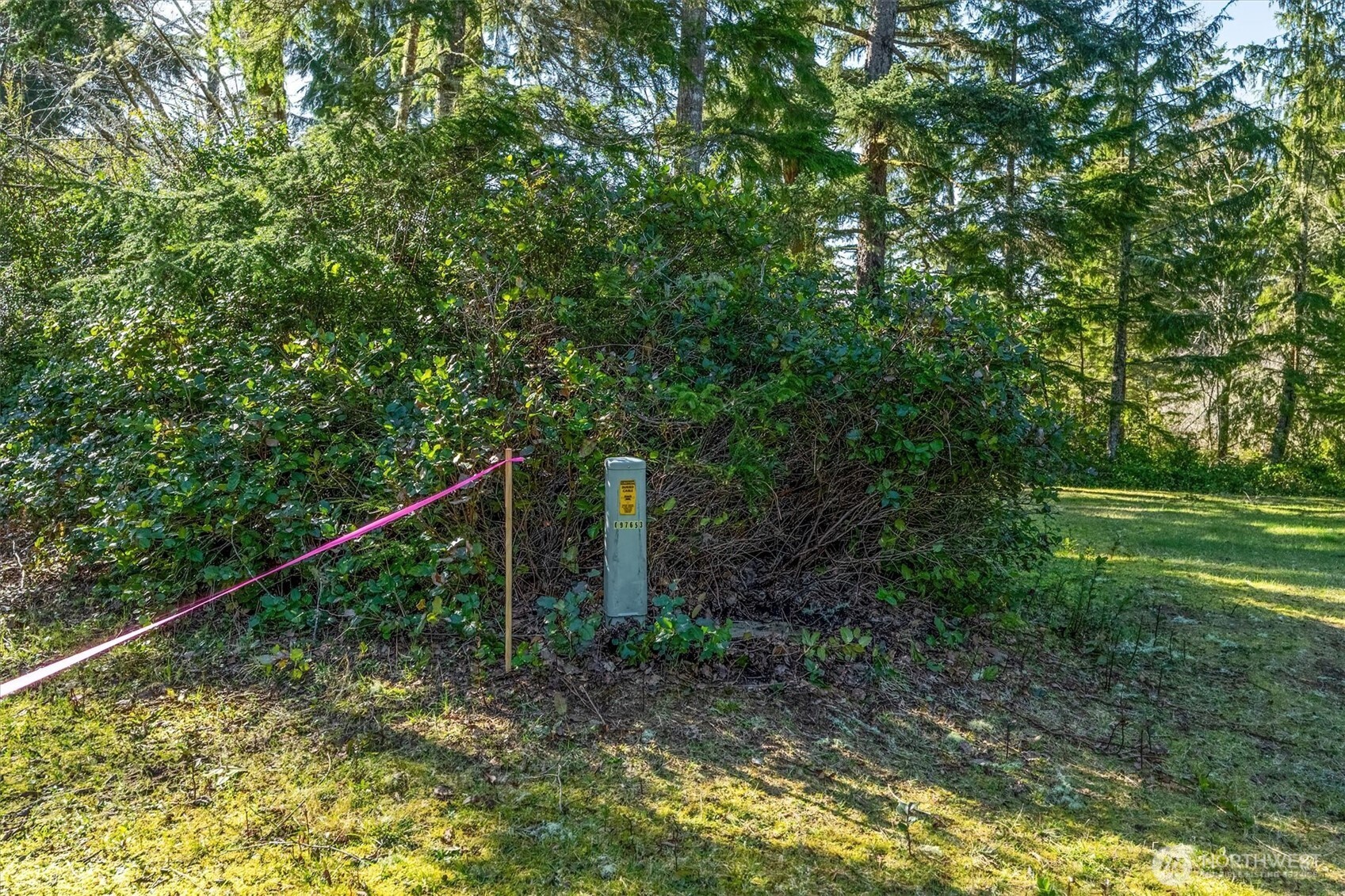 21329 Birch Place Property Photo 6