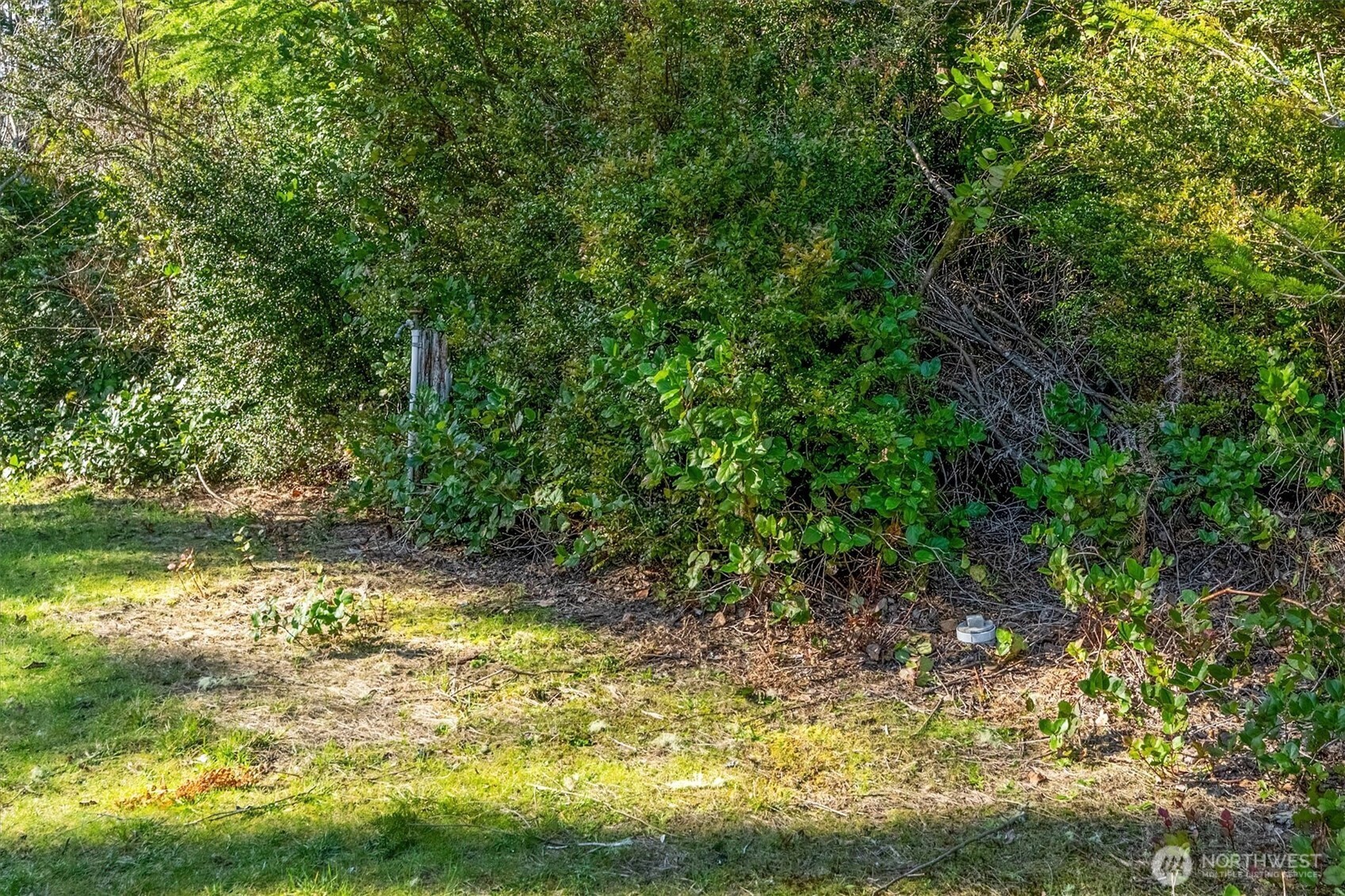 21329 Birch Place Property Photo 10