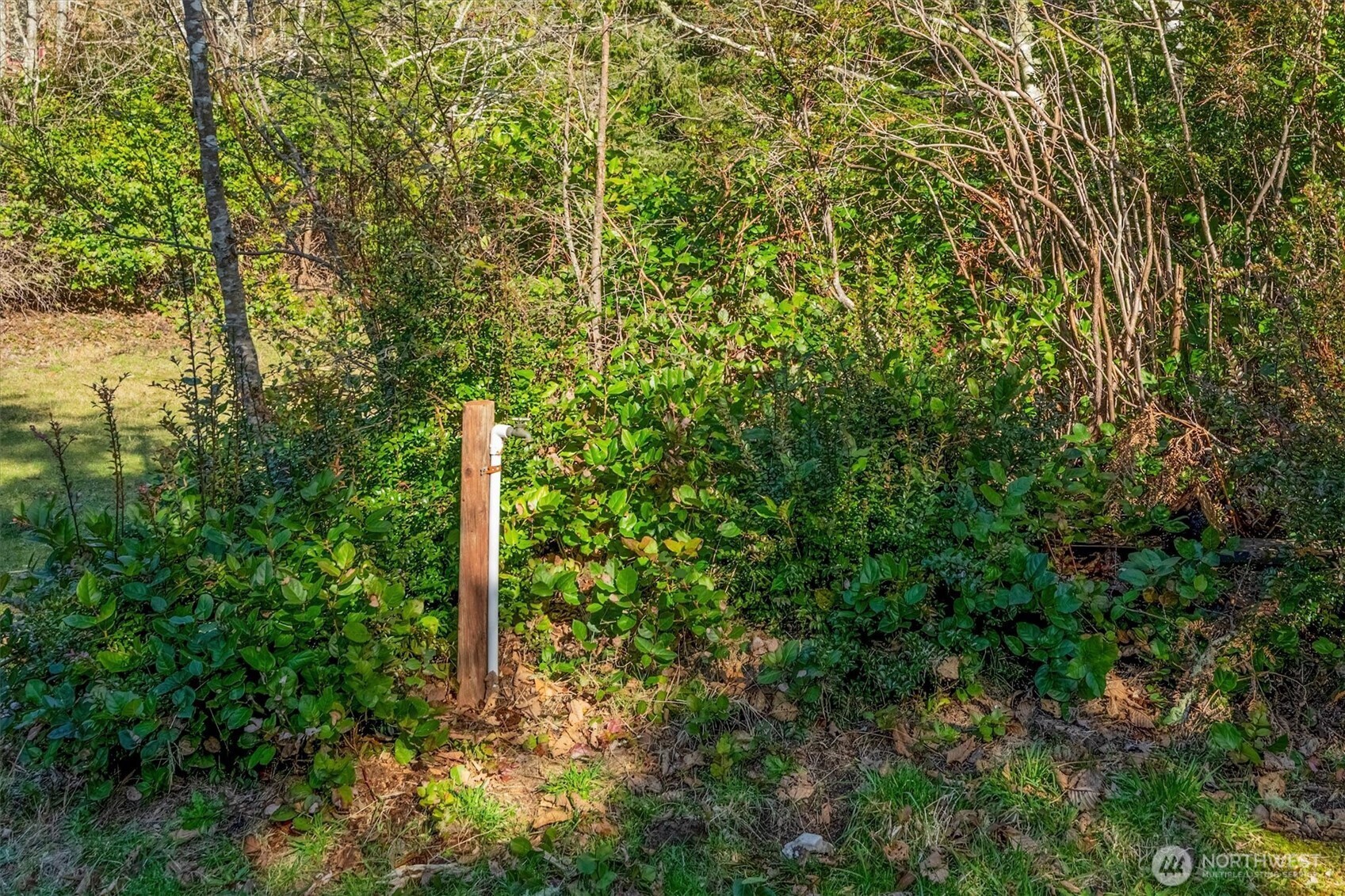 21329 Birch Place Property Photo 11