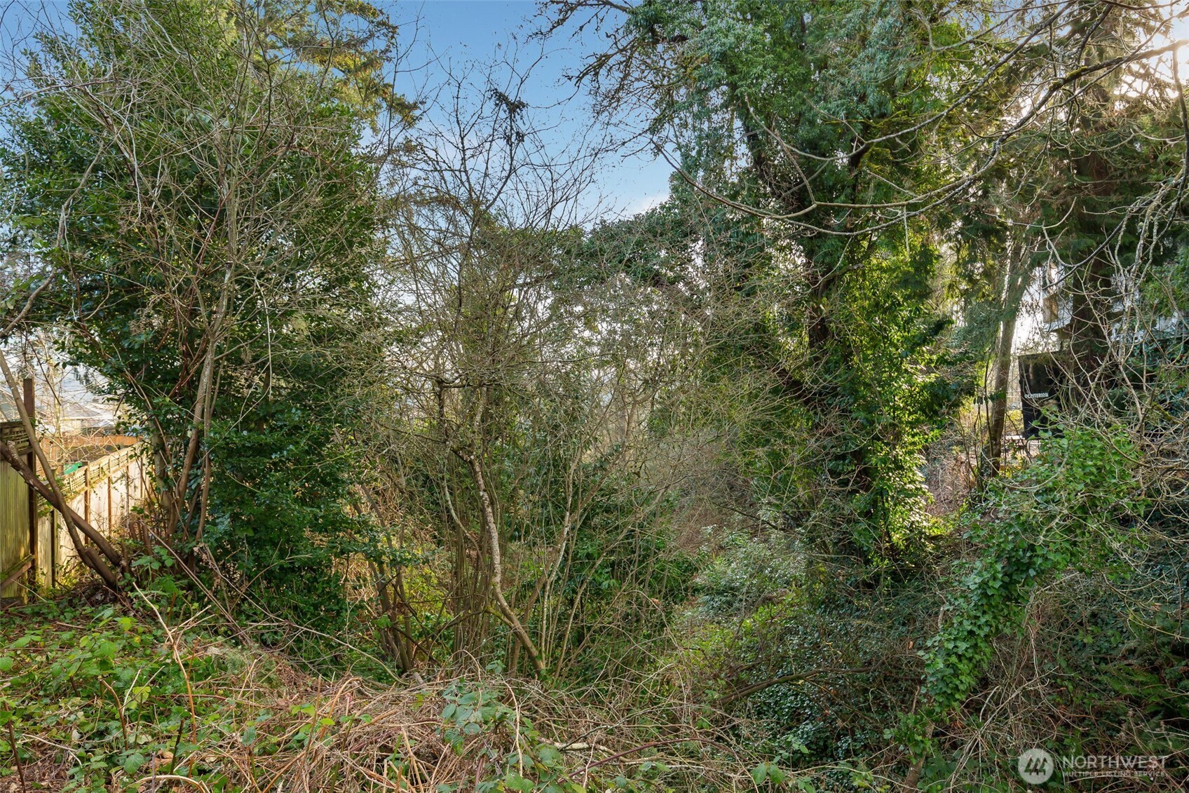 0 Lind Avenue Property Photo 4