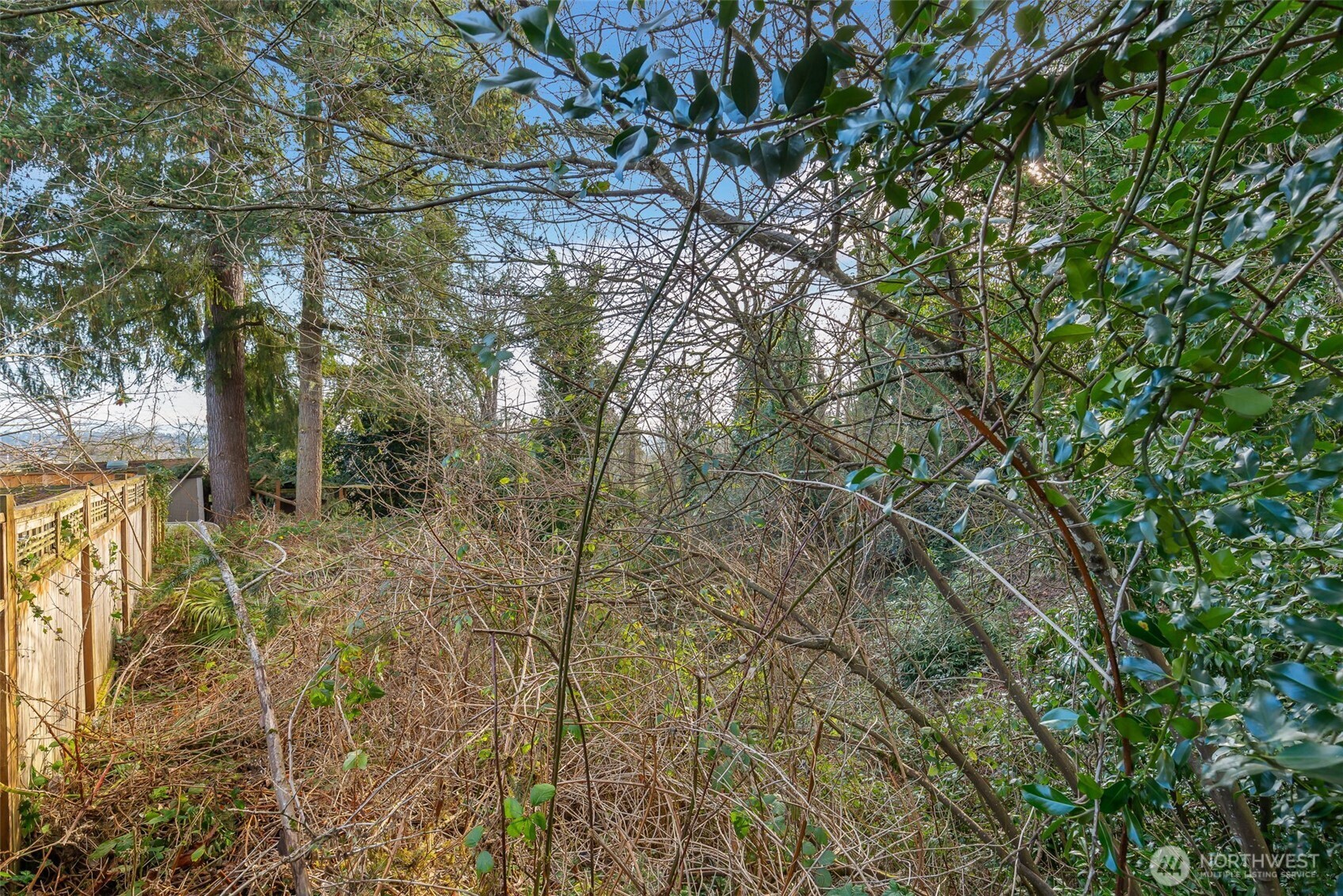 0 Lind Avenue Property Photo 5
