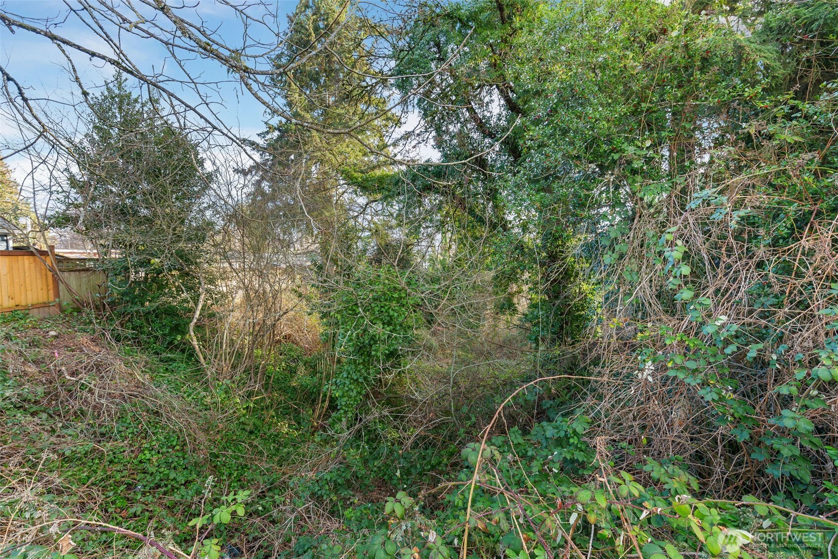 0 Lind Avenue Property Photo 6
